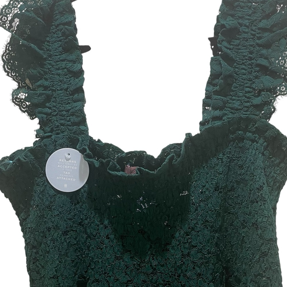 HILL HOUSE 2023 Collector’s Lace Ellie Nap Dress Botanical Garden Green XXL NWT - Picture 6 of 10